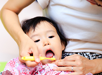 赤ちゃんの乳歯の生え始めと乳歯列の完成